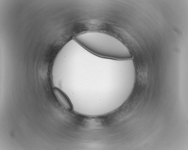 X0000115240221200911271850