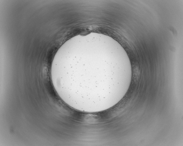 X0000115240222200911271850