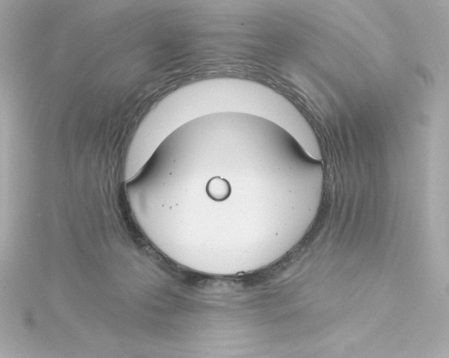 X0000115240223200911271850