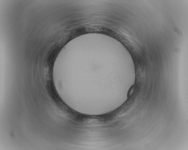 X0000115240224200911271850