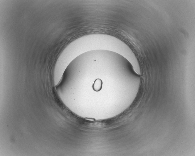 X0000115240225200911271850