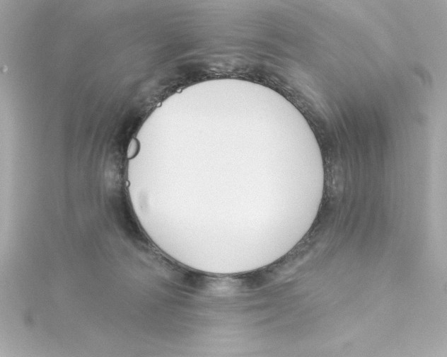 X0000115240226200911271850