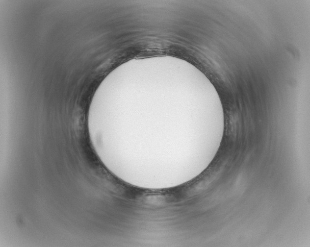 X0000115240228200911271850