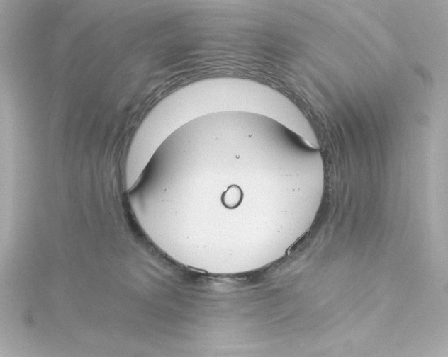 X0000115240229200911271850