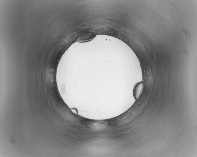 X0000115240232200911271850