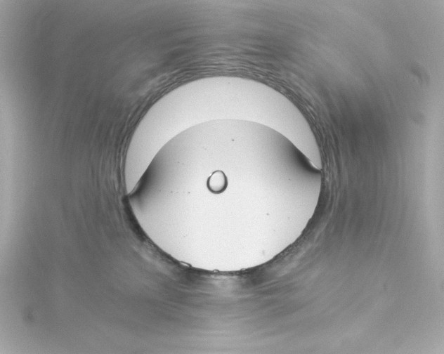 X0000115240233200911271850