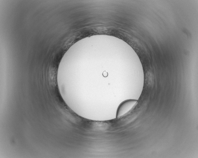 X0000115240234200911271850