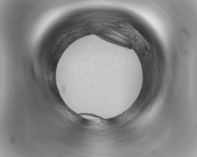 X0000115240239200911271850