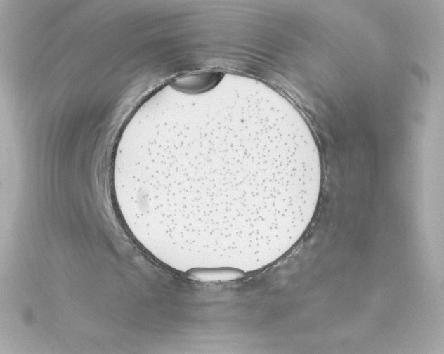 X0000115240241200911271849