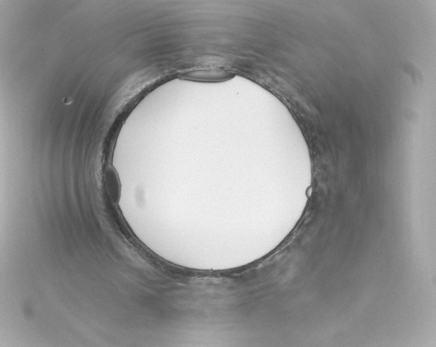 X0000115240242200911271849