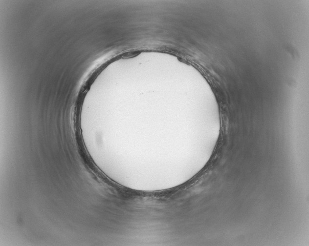 X0000115240244200911271849