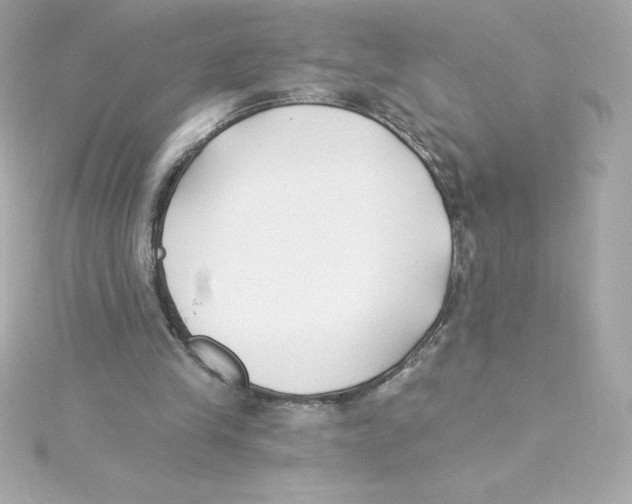 X0000115240245200911271849