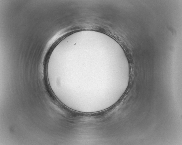 X0000115240246200911271849