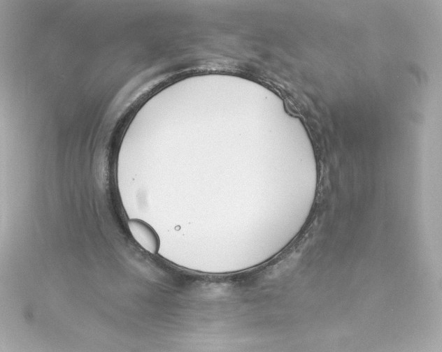 X0000115240247200911271849