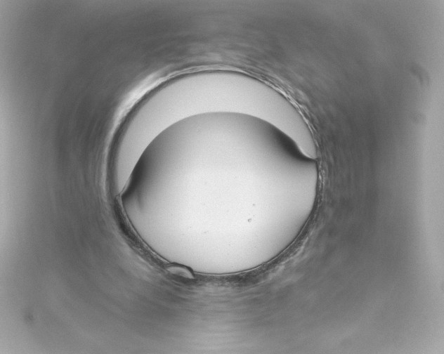 X0000115240248200911271849