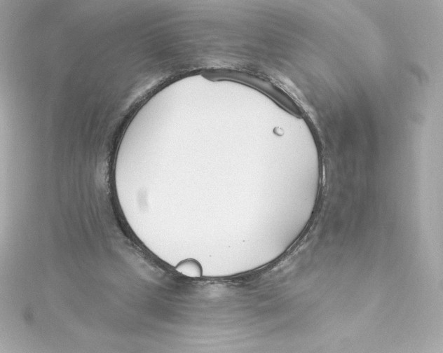 X0000115240249200911271849