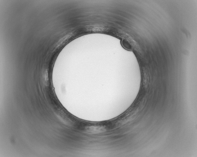 X0000115240251200911271849