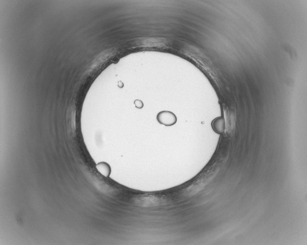 X0000115240253200911271849