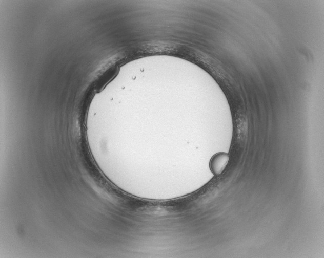 X0000115240254200911271849