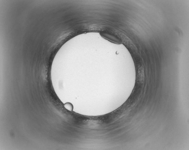 X0000115240255200911271849