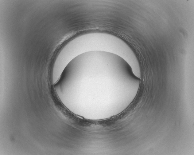 X0000115240256200911271849