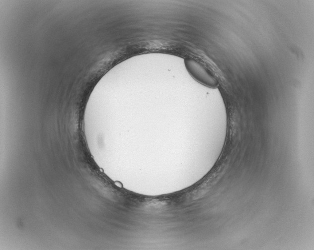 X0000115240257200911271849