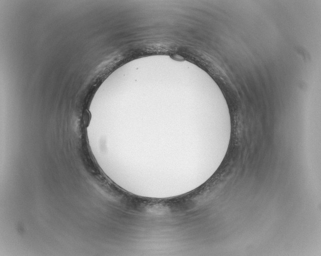 X0000115240258200911271849