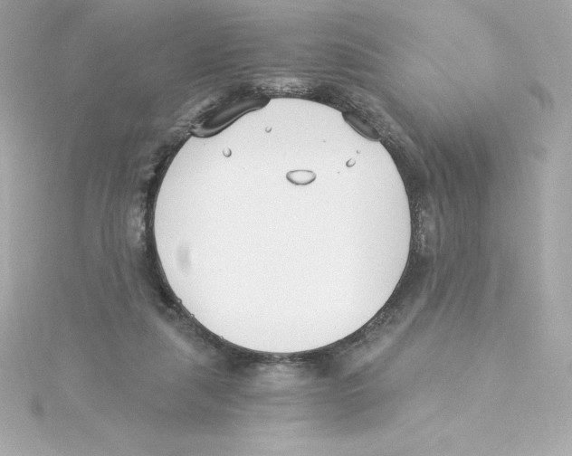 X0000115240259200911271849