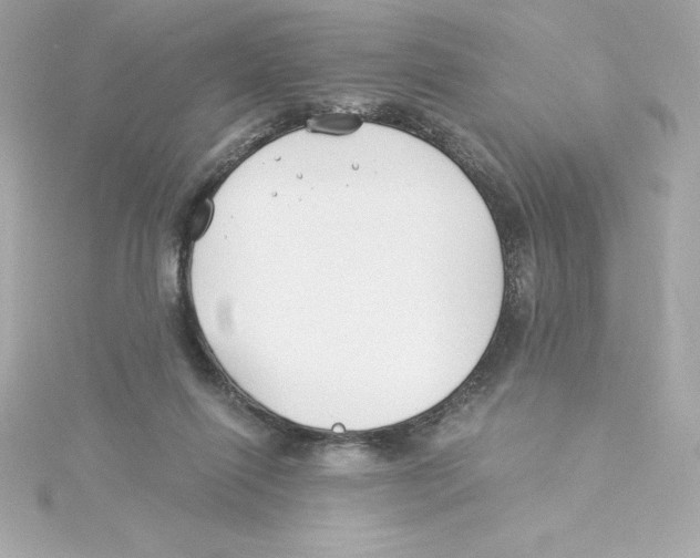 X0000115240262200911271849