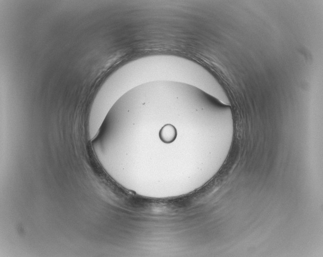 X0000115240264200911271849