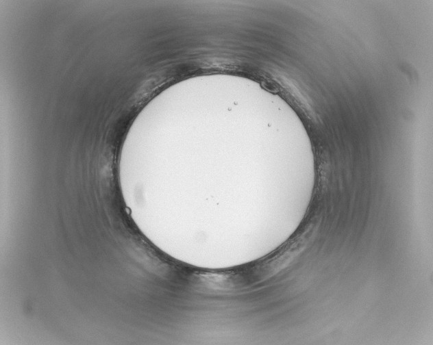 X0000115240265200911271849