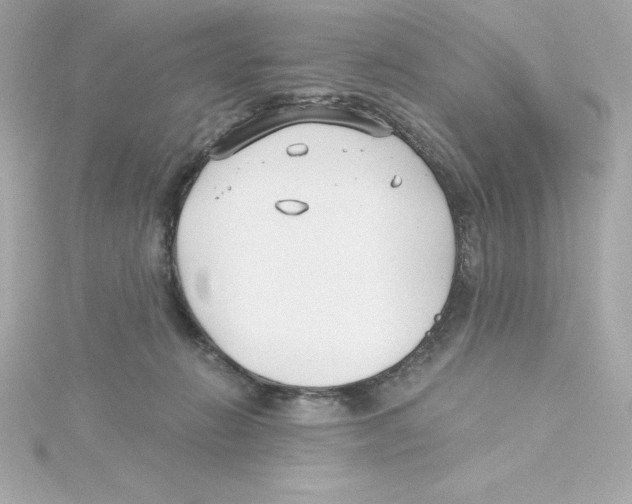 X0000115240270200911271849