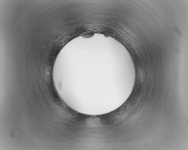 X0000115240271200911271849