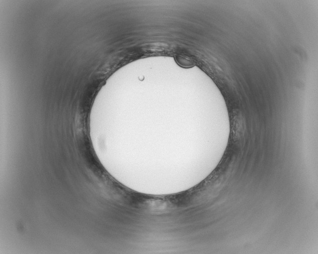 X0000115240272200911271849