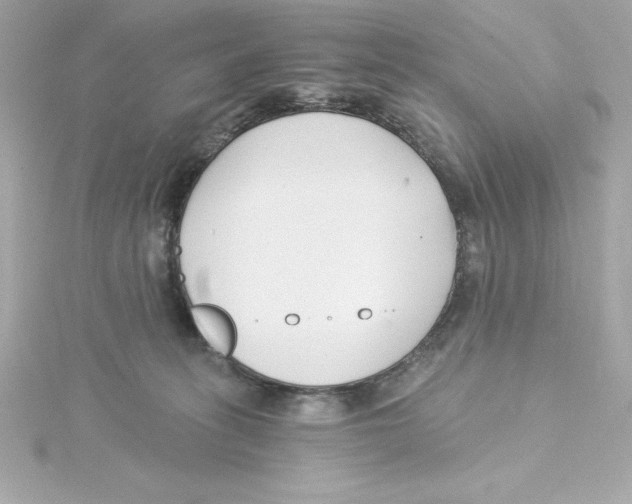 X0000115240275200911271849