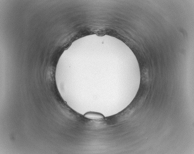 X0000115240280200911271849