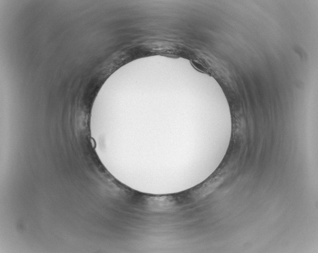 X0000115240281200911271849