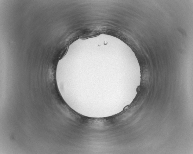 X0000115240282200911271849