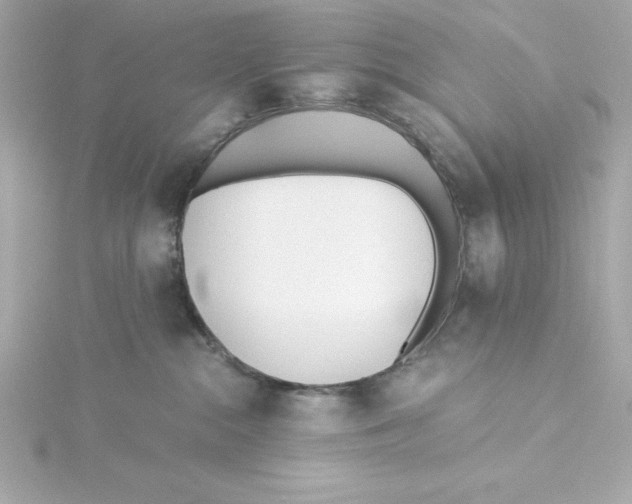 X0000115240284200911271849