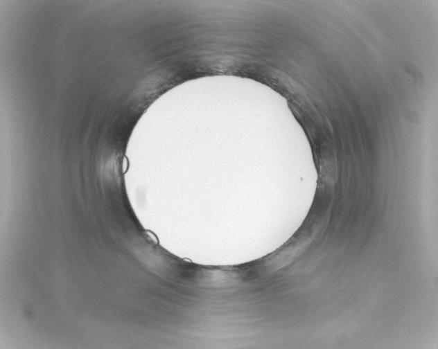 X0000115240286200911271849