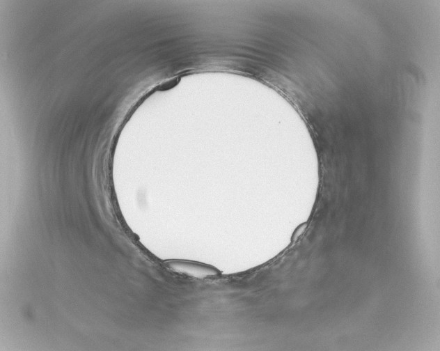 X0000115240289200911271849