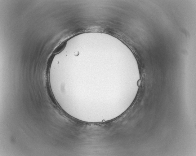 X0000115240290200911271849