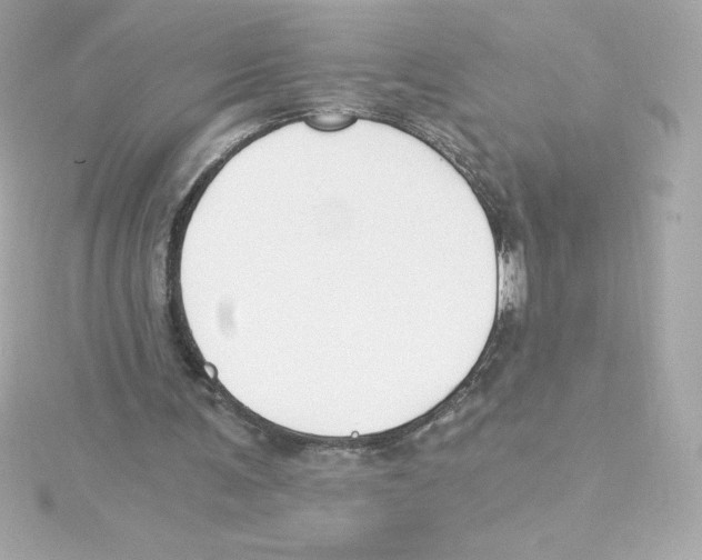 X0000115240291200911271849