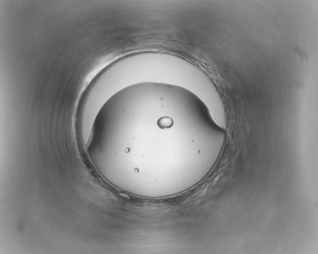 X0000115240292200911271849