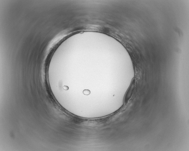 X0000115240294200911271849