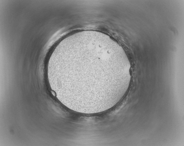 X0000115240295200911271849