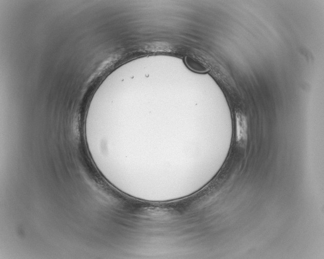 X0000115240300200911271849