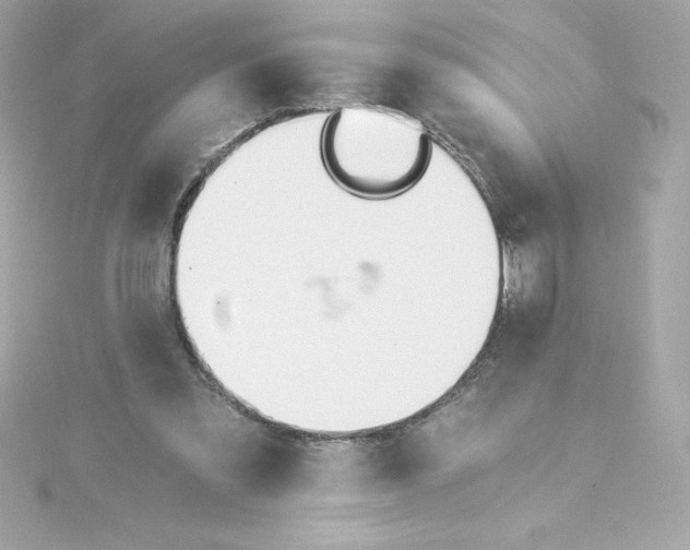 X0000115240301200911271849