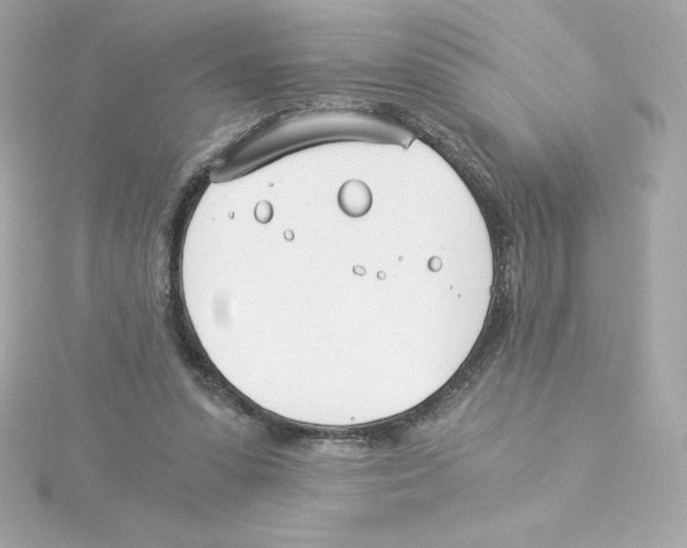 X0000115240303200911271849