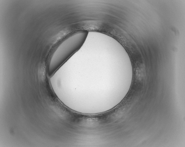 X0000115240304200911271849